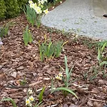Likusy - Przy Plazy Nad Jeziorem Ukiel Z Bezplatnym Prywatnym Parkingiem I Klimatyzacja * Olsztyn (Warmian-Masurian)