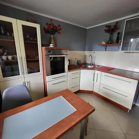 招待所 Likusy - Przy Plazy Nad Jeziorem Ukiel Z Bezplatnym Prywatnym Parkingiem I Klimatyzacja 奥尔什丁