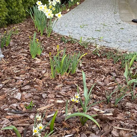 Likusy - Przy Plaży Nad Jeziorem Ukiel I Z Bezpłatnym Prywatnym Parkingiem * Olsztyn (Warmian-Masurian)