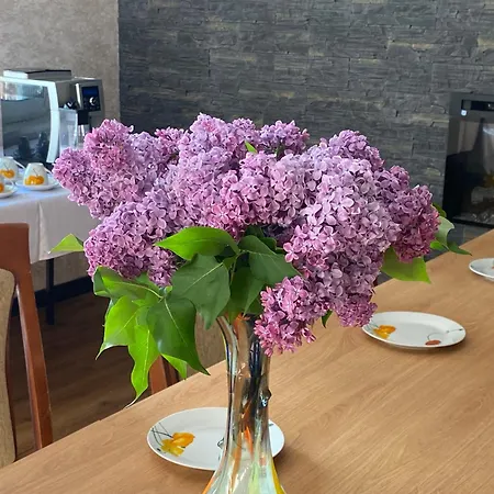 Likusy - Przy Plazy Nad Jeziorem Ukiel Z Bezplatnym Prywatnym Parkingiem I Klimatyzacja Pensionat *